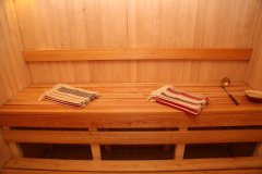sauna-1
